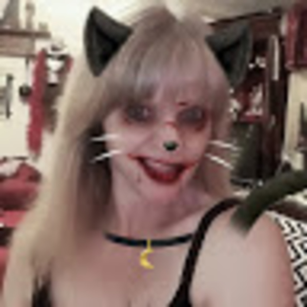 Meet your Posher, Shitty kitty
